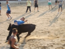 Foto 3 - La capea de vaquilas dan continuidad a las fiestas