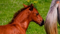 Foto 6 - Sergio Galán: “Ser exigente conmigo mismo es el secreto del éxito en mi carrera”
