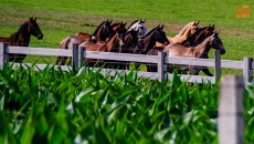 Foto 4 - Sergio Galán: “Ser exigente conmigo mismo es el secreto del éxito en mi carrera”