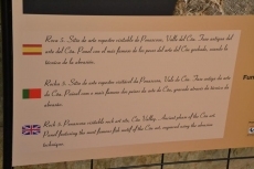 Foto 4 - Si los mirobrigenses no van a Siega Verde, Siega Verde viene a los mirobrigenses
