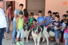 El mast&iacute;n campe&oacute;n de Espa&ntilde;a visita Conciliamos en Verano