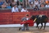 Foto 2 - Damián Castaño corta una oreja en el primer festejo de Ferias en Vitigudino