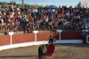 Foto 2 - Vecinos y forasteros se lo pasan en grande en los eventos taurinos de las fiestas