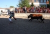 Foto 2 - Una vaquilla se cuela entre dos vallas y golpea a una mujer embarazada en Babilafuente