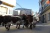 Foto 2 - Rápido, limpio y emocionado último encierro de las Fiestas del Toro