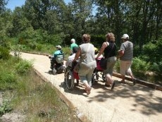 Foto 5 - Senderismo accesible: De los castaños centenarios a Las Batuecas