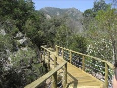 Foto 3 - Senderismo accesible: De los castaños centenarios a Las Batuecas