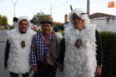 Foto 3 - El desfile de carrozas llena de colorido y animación las calles
