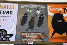 Foto 6 - En marcha el Carnaval 2015: 24 trabajos optan a ser el cartel anunciador