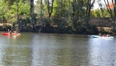 Foto 4 - Los niños disfrutan de su gran día del verano