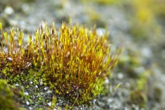 Foto 3 - Verbo y barro