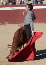 Foto 4 - Torero de corazón, farmacéutico de profesión 