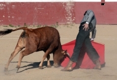 Foto 3 - Torero de corazón, farmacéutico de profesión 