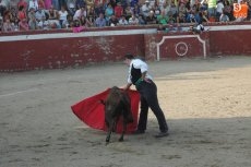 Foto 6 - La ilusión hace más grande el Tentadero de Aficionados de Rollanejo