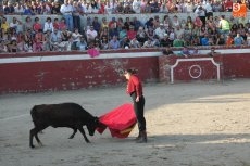 Foto 5 - La ilusión hace más grande el Tentadero de Aficionados de Rollanejo
