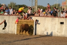 Foto 5 - Los vecinos estrenan fiestas de verano gracias a la ‘marea amarilla’