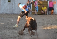 Foto 4 - Los vecinos estrenan fiestas de verano gracias a la ‘marea amarilla’