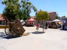Foto 4 - Éxito de participación en el Mercado Campesino
