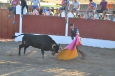 Foto 6 - Vecinos y forasteros se lo pasan en grande en los eventos taurinos de las fiestas