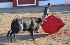 Foto 4 - Vecinos y forasteros se lo pasan en grande en los eventos taurinos de las fiestas