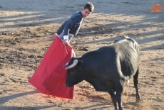 Foto 3 - Vecinos y forasteros se lo pasan en grande en los eventos taurinos de las fiestas