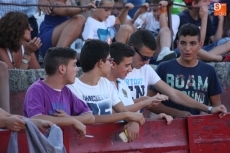 Foto 3 - Entretenida capea de Ferias con acento flamenco