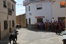 Foto 5 - Supersónico segundo encierro de las fiestas con novillos de Hermanos Sánchez