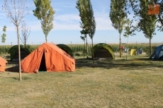 Foto 3 - Llega a su fin el Campamento de Verano organizado por la Asociación juvenil 'Prodesi'