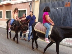 Foto 4 - Los paseos en burro triunfan entre los niños