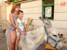 Foto 3 - Los paseos en burro triunfan entre los niños