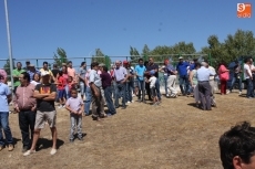 Foto 5 - La feria de ganado de Vitigudino consolida su regreso con una excelente calidad en vacuno y ovino