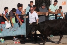 Foto 6 - Una vaquilla se cuela entre dos vallas y golpea a una mujer embarazada en Babilafuente