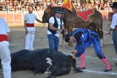 Foto 4 - Puerta grande en Cantalpino para Langa, Chaves y Castaño 