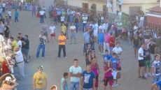 Foto 6 - Día grande de las fiestas en honor a San Roque