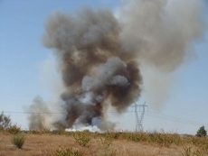 Foto 3 - Sofocado en Aldeadávila un incendio forestal próximo al casco urbano