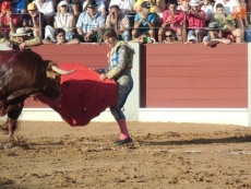 Foto 3 - Juan del &Aacute;lamo sale por la puerta grande en Guijuelo