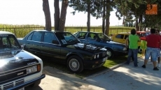 Foto 3 - Concluyen unas participativas fiestas en honor a San Roque