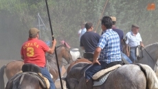 Foto 3 - Un apasionante y frenético encierro a caballo encamina el final de las fiestas