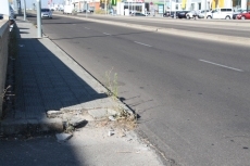 Foto 5 - Los empresarios del polígono Los Villares se quejan del escaso mantenimiento y la falta de limpieza