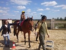 Foto 6 - ASADE, una apuesta por la mejora en la calidad de vida desde la equinoterapia