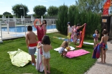 Foto 3 - Disfrutando del verano en compañía de Alvi