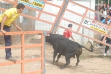 Foto 3 - Elisabeth Herrero gana con una espectacular imagen de la iglesia el concurso de fotografía...