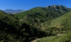 Foto 5 - Las Quilamas: el misterio de la reina Quilama