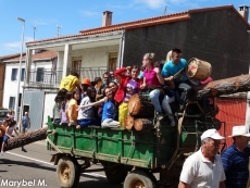 Foto 4 - El levantamiento del pino abre un largo fin de semana de fiestas