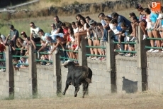 Foto 6 - Varios miles de personas se dan cita en el ‘Prao’ del Rocoso para ver el desenjaule