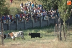 Foto 5 - Varios miles de personas se dan cita en el ‘Prao’ del Rocoso para ver el desenjaule