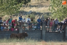 Foto 4 - Varios miles de personas se dan cita en el ‘Prao’ del Rocoso para ver el desenjaule