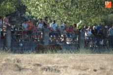 Foto 3 - Varios miles de personas se dan cita en el ‘Prao’ del Rocoso para ver el desenjaule