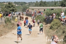 Foto 6 - Accidentado primer encierro con novillos de Chaves y que deja tres heridos