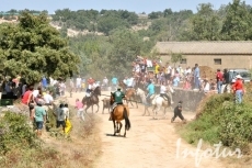 Foto 4 - Accidentado primer encierro con novillos de Chaves y que deja tres heridos